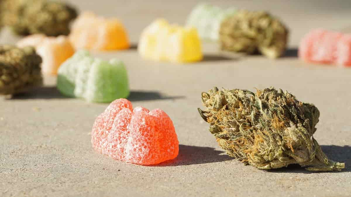 CBD Edibles Online