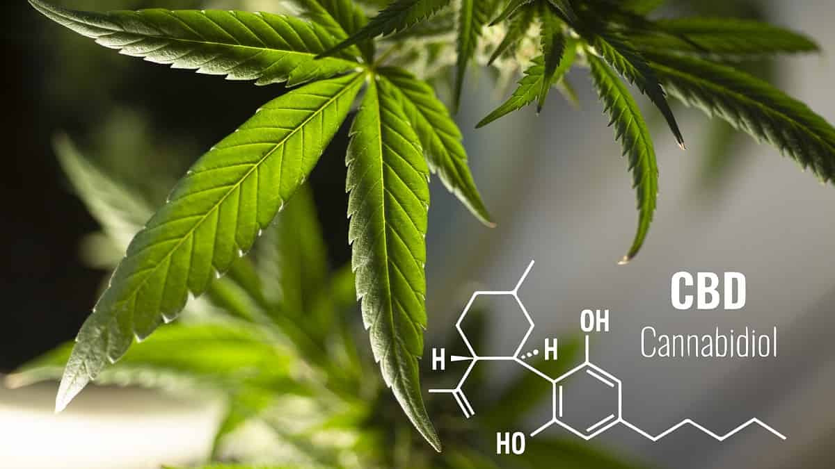 How to Buy CBD Online