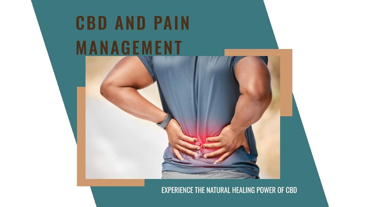 CBD and Pain Management