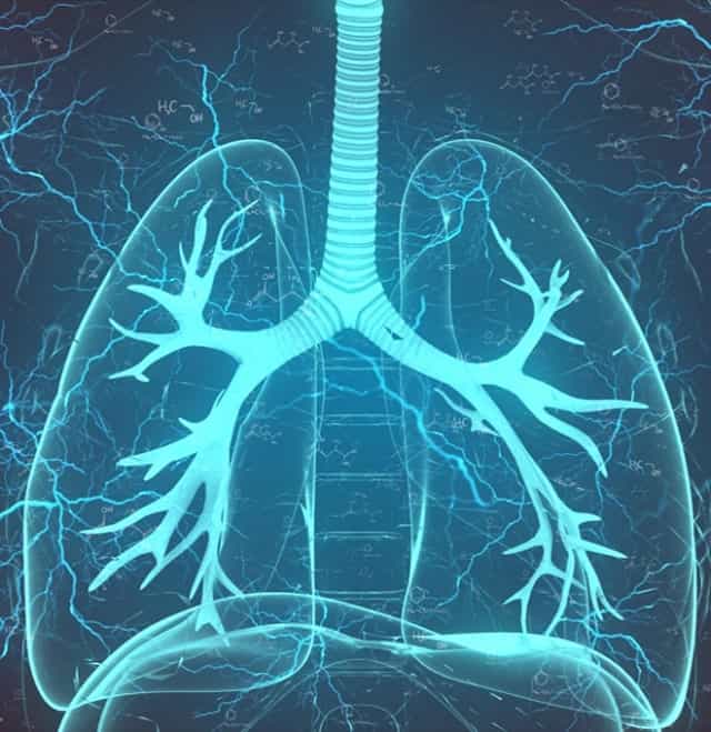 CBD for Asthma Research