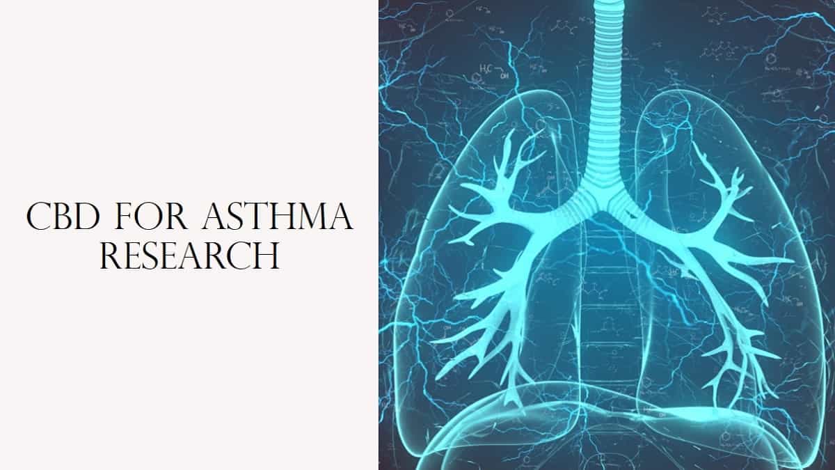 CBD for Asthma Research